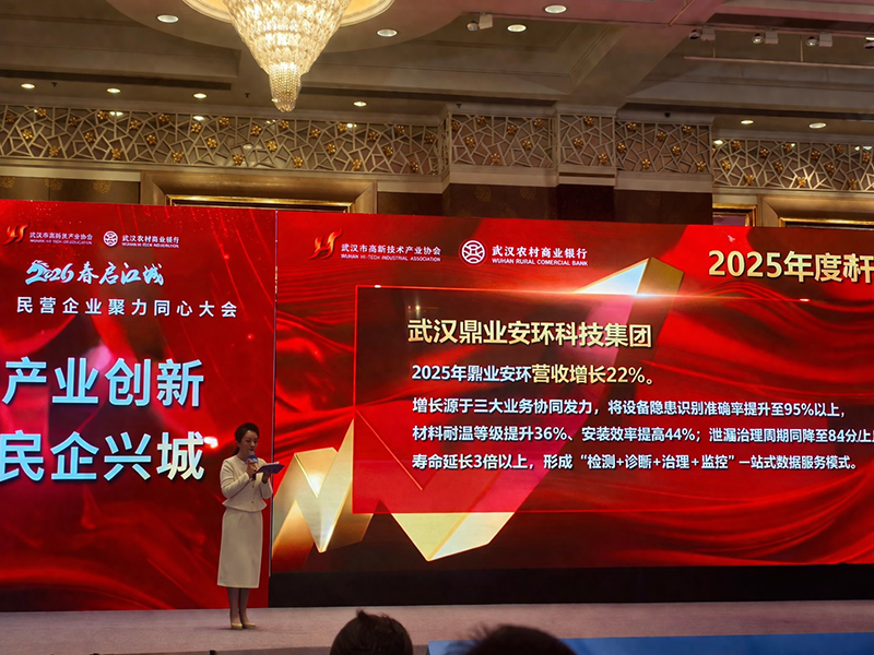 喜報(bào)！鼎業(yè)集團(tuán)獲評(píng)「2025年度武漢民營企業(yè)增長樣本」