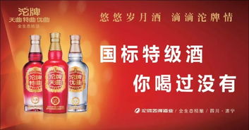濮陽(yáng)審車VIP通道 快速便捷體驗(yàn)，酒類經(jīng)營(yíng)人士?jī)?yōu)先報(bào)名
