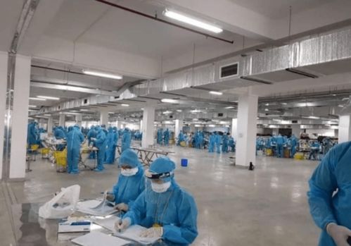 越南疫情警示 工廠聚集感染、瞞報與關聯行業的風險連鎖反應